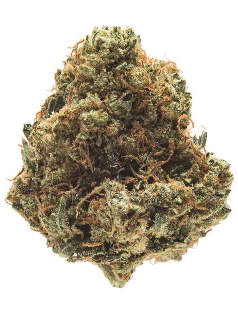 jet-fuel-strain-marijuana-strains-order-online-today-healing-empire