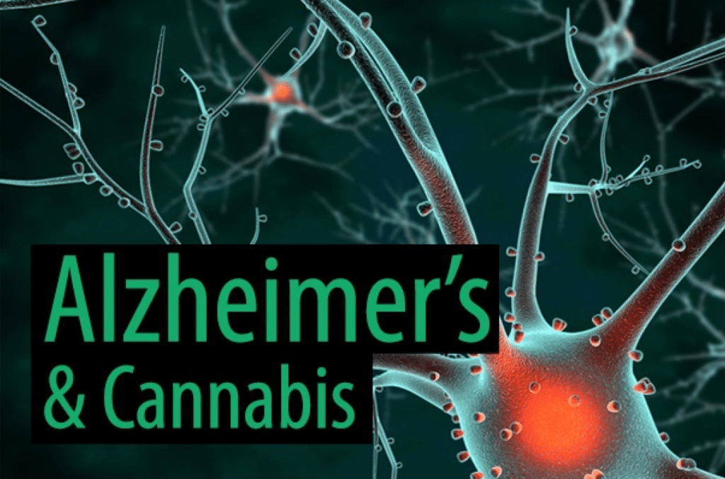 Alzheimer's disease and cannabis use, Cannabis use in Alzheimer's disease, Alzheimer's disease and cannabis