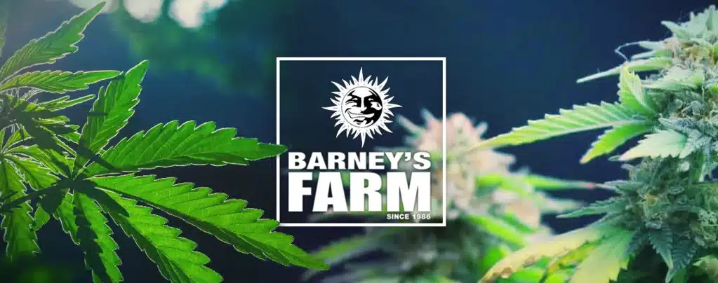 Barney's Farm, Barney's Farm history, Cannabis seed , Marijuana Farm