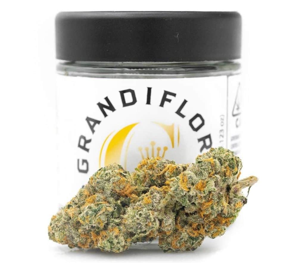 Grandiflora Cannabis, Cannabis