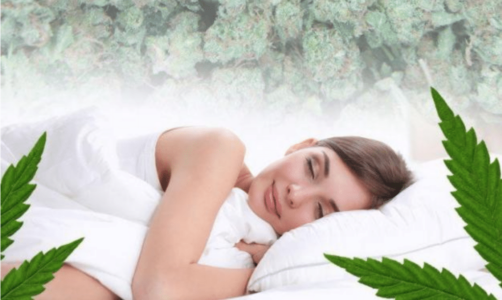 Cannabis for Sleep, Cannabis, Sleep Disorders, Cannabis and Sleep Disorders, Cannabinoids