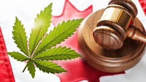 Marijuana Legalization, Marijuana, cannabis legalization, cannabis, Cannabis tax revenue, employment for cannabis, medical cannabis, medical marijuana.